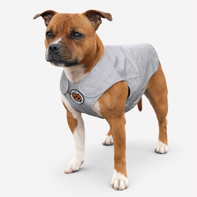 Staffordshire Bull Terrier Reflective Vest