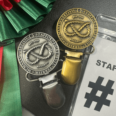 Staffordshire Bull Terrier Show Clip