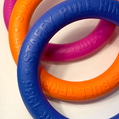 Staffordshire Bull Terrier Tug Toy