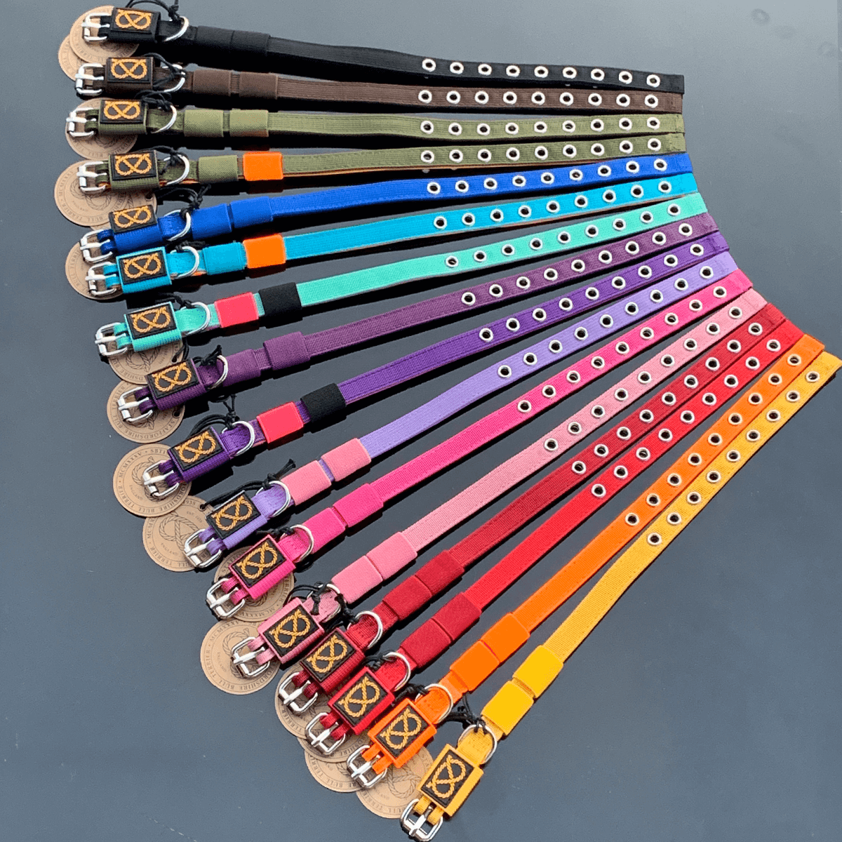 Staffordshire Bull Terrier Puppy Collar & Leash Set - Staffordshire Bull Terrier 1935®