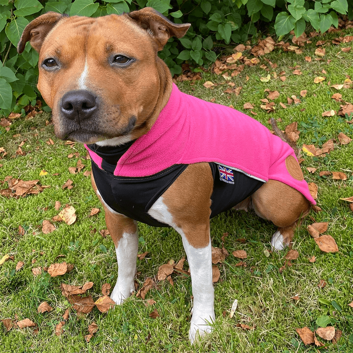 Staffordshire Bull Terrier 1935® Fleece Coat Fuchsia