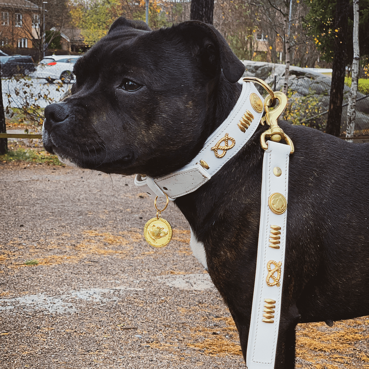 Staffordshire Bull Terrier 1935® Läderhalsband & Koppel Set - Gladiator - Vit/Guld