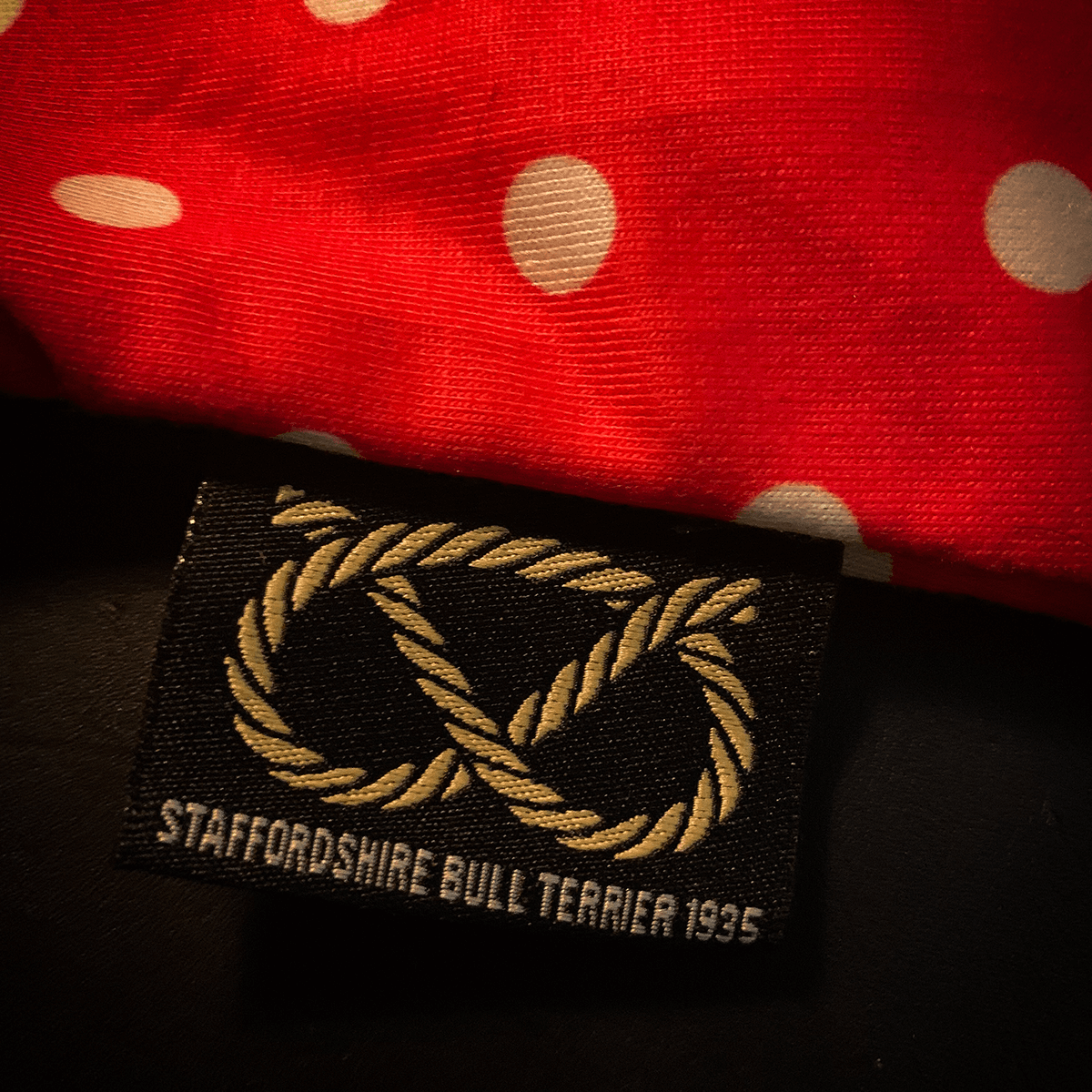Staffordshire Bull Terrier 1935® Tikskydd med Hängslen - Polka Dot