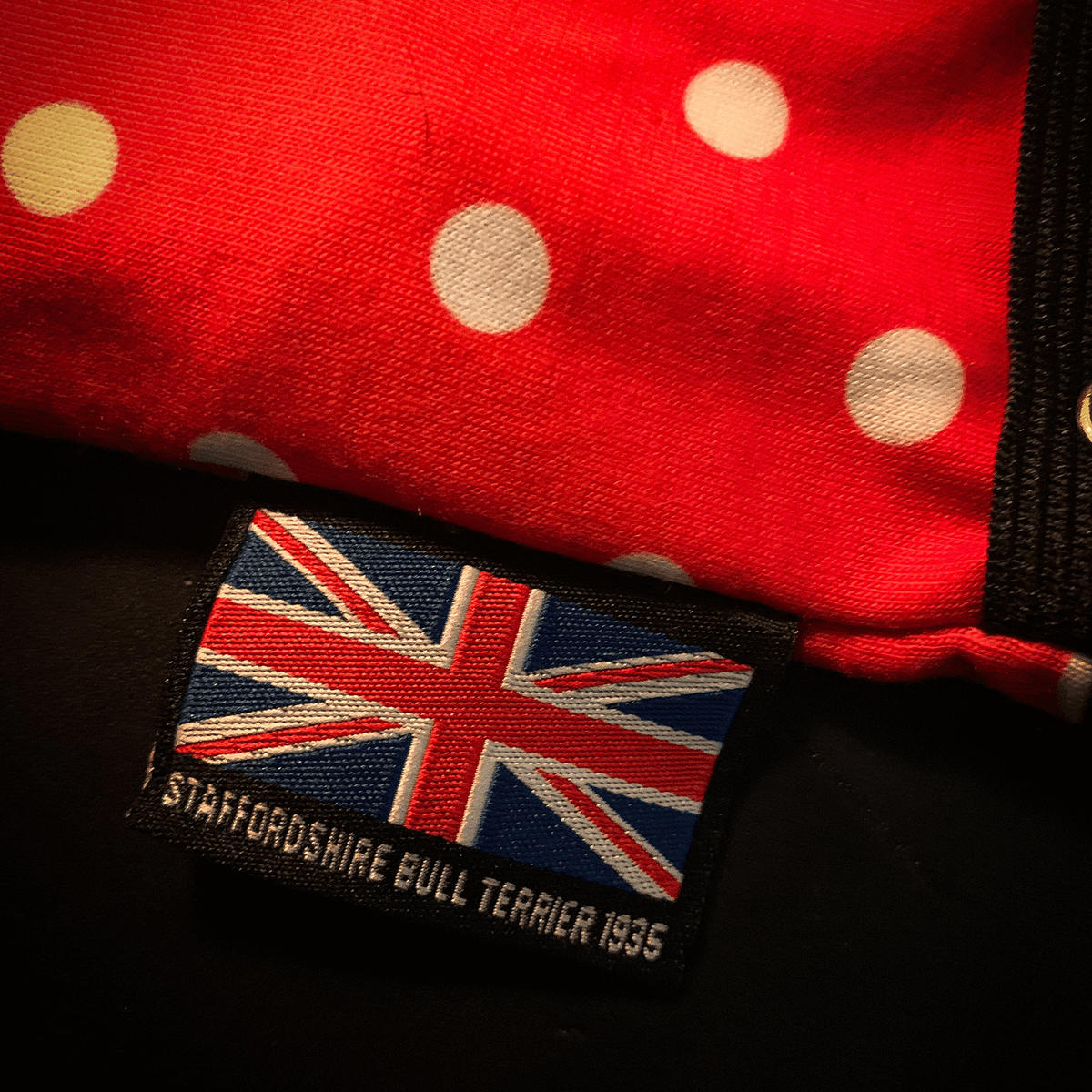 Staffordshire Bull Terrier 1935® Tikskydd med Hängslen - Polka Dot