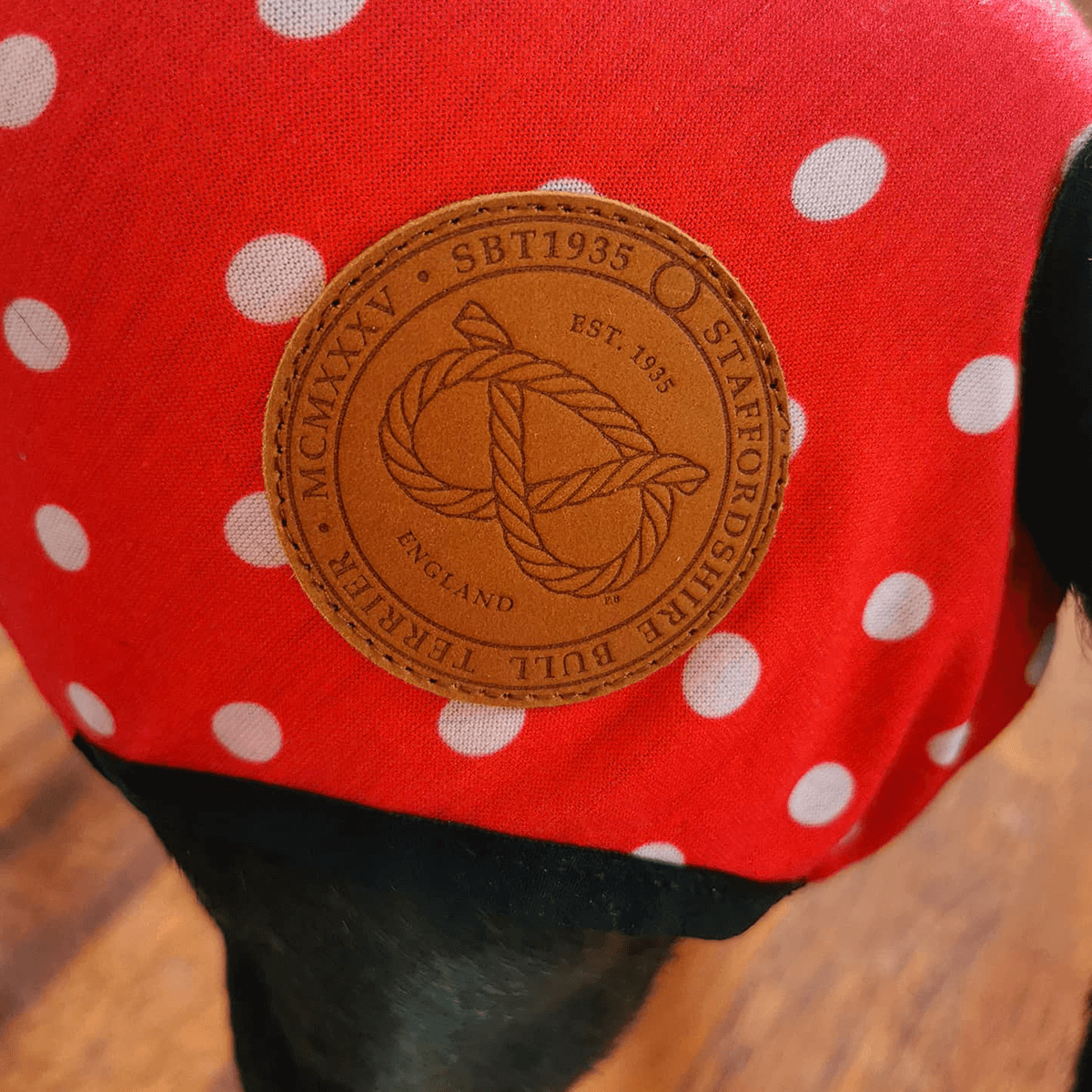 Staffordshire Bull Terrier 1935® Tikskydd med Hängslen - Polka Dot