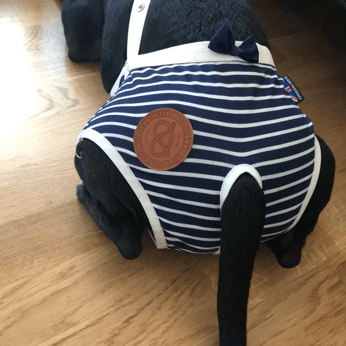Staffordshire Bull Terrier 1935® Tikskydd med Hängslen - Sailor