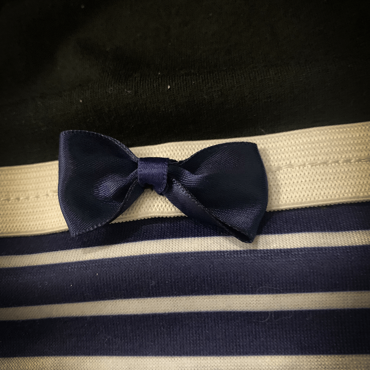 Staffordshire Bull Terrier 1935® Tikskydd med Hängslen - Sailor