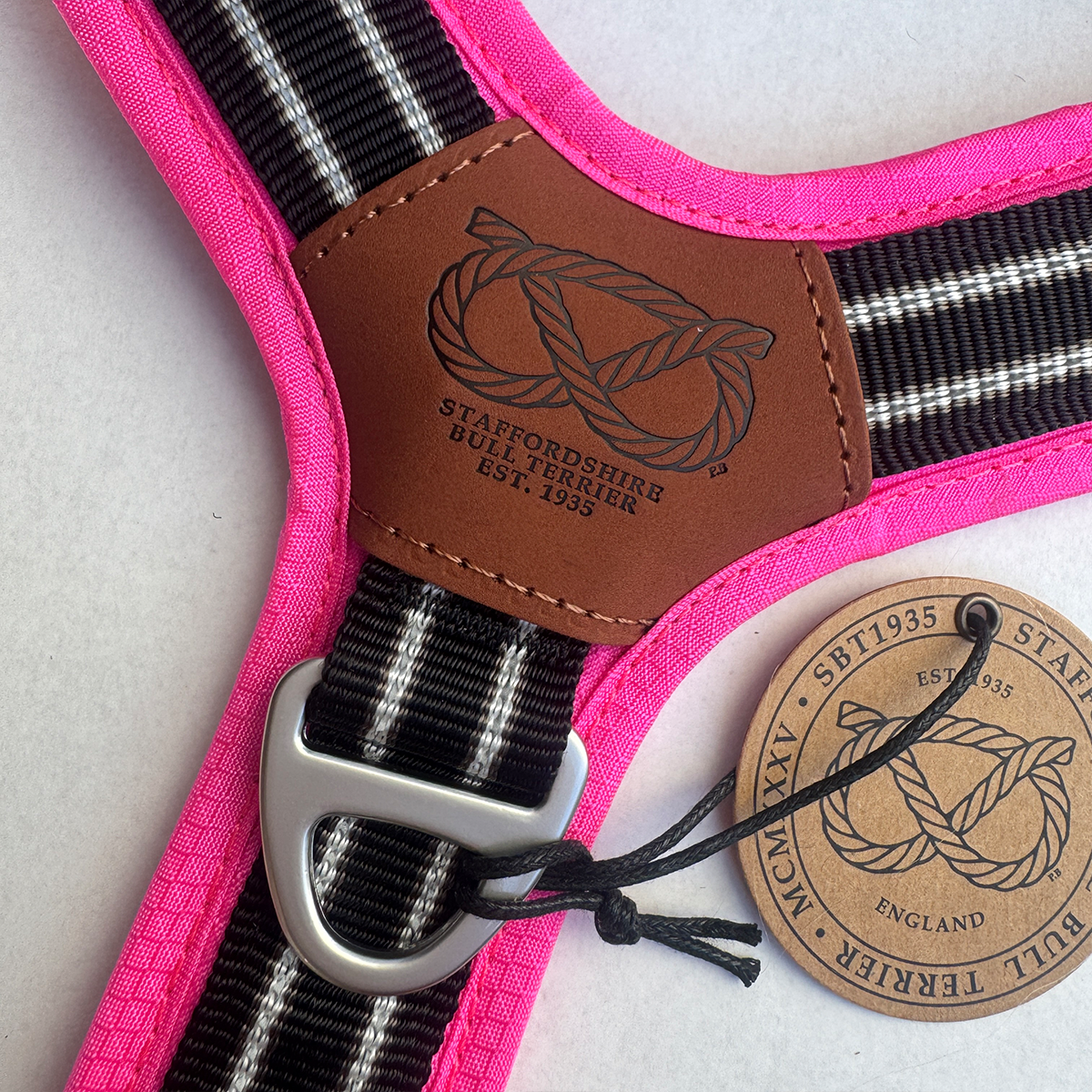 Staffordshire Bull Terrier 1935® Harness & Leash Set - Black & Neon Pink
