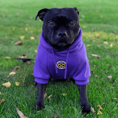 Staffordshire Bull Terrier 1935® Hoodies - Dark Purple
