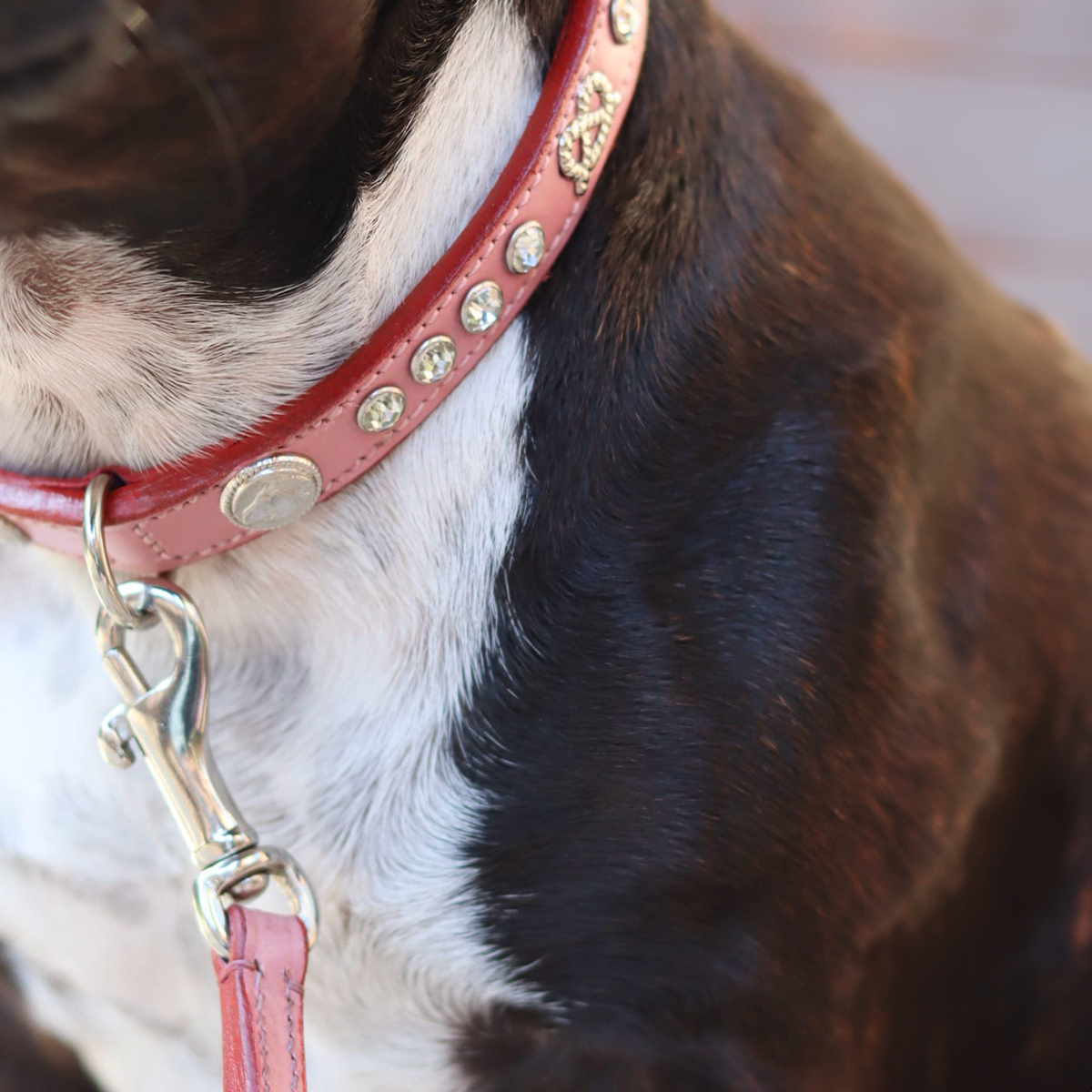Staffordshire Bull Terrier 1935® Show Collar & Leash Set - Diamond - Baby Pink & Silver