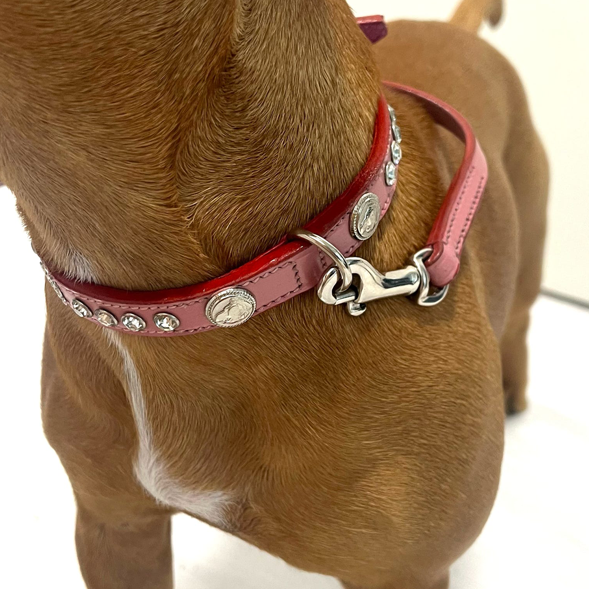 Staffordshire Bull Terrier 1935® Show Collar & Leash Set - Diamond - Baby Pink & Silver