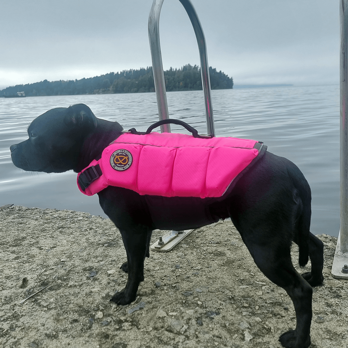 Staffordshire Bull Terrier 1935 Life Jacket