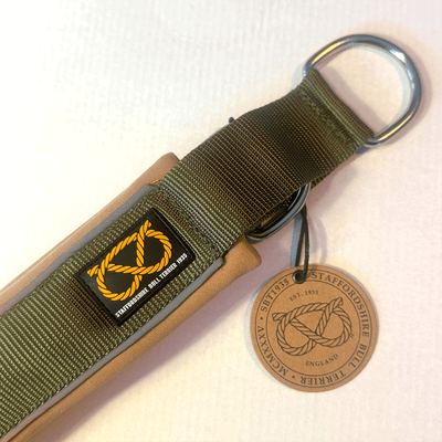 Staffordshire Bull Terrier 1935® Collier Martingale - Hunter