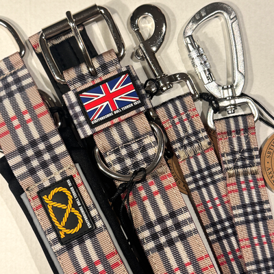 Staffordshire Bull Terrier 1935® Nylon Collar - Staffburry Beige