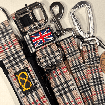 Staffordshire Bull Terrier 1935® Collier Nylon - Staffburry Beige