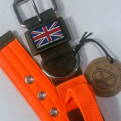 Staffordshire Bull Terrier 1935® Collier Nylon avec poignée - Édition Stitch - Vert et Orange Fluo