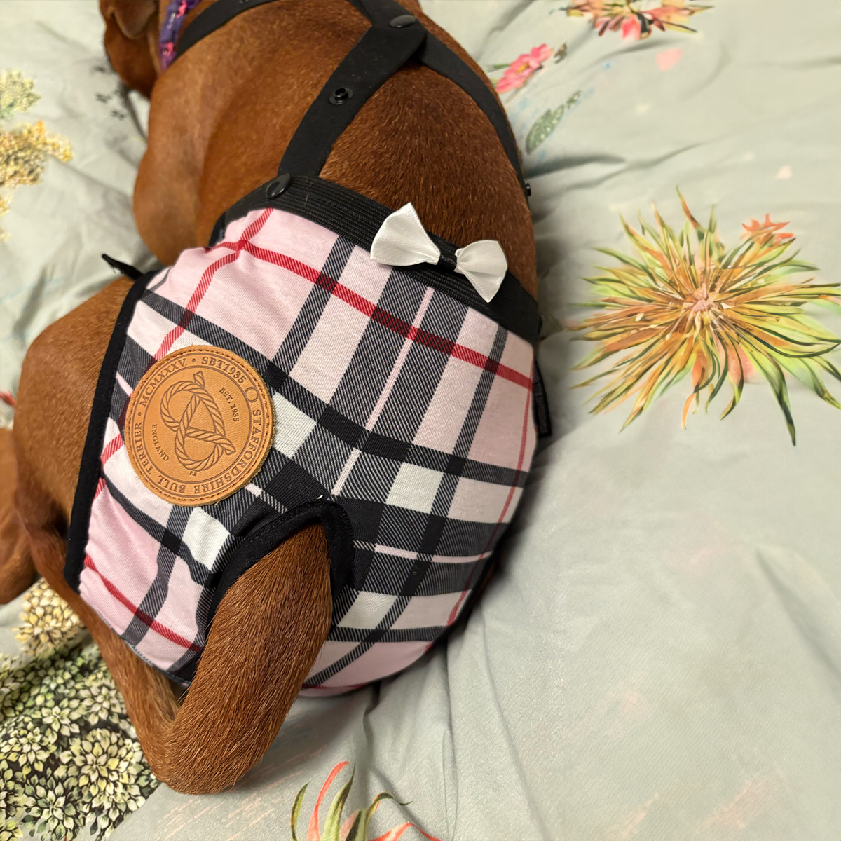 Staffordshire Bull Terrier 1935® Hygiene Panties with Suspenders - Staffberry Pink