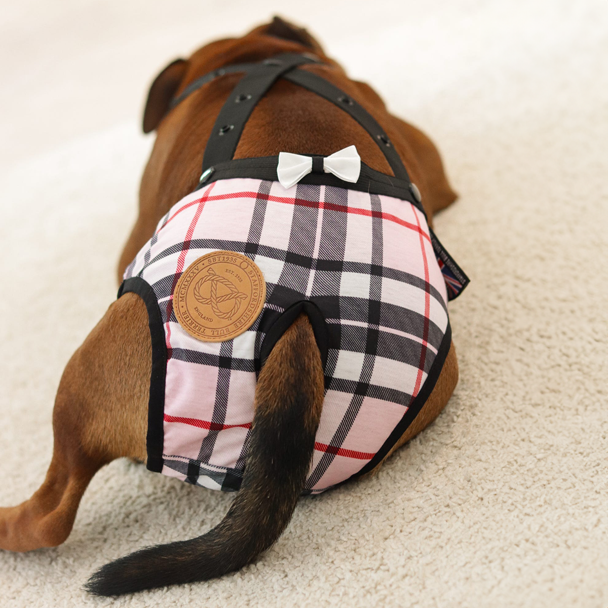 Staffordshire Bull Terrier 1935® Hygiene Panties with Suspenders - Staffberry Pink