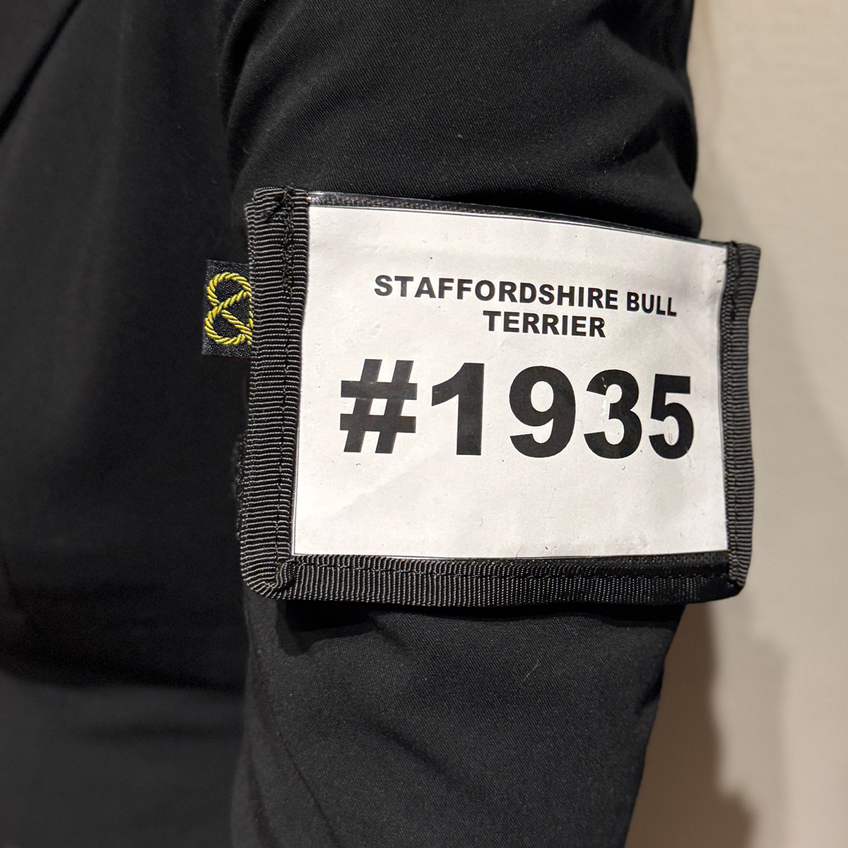 Staffordshire Bull Terrier 1935® Show Armband Number Holder