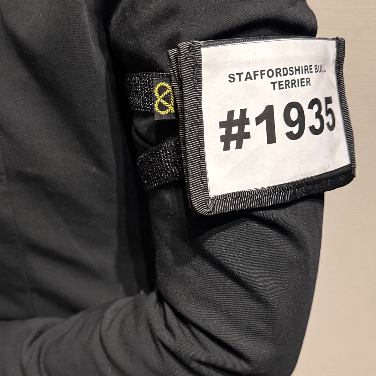 Staffordshire Bull Terrier 1935® Show Armband Number Holder