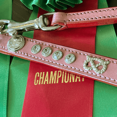 Staffordshire Bull Terrier 1935® Show Collar & Leash Set - Diamond - Baby Pink & Silver