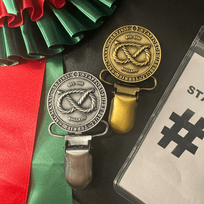 Staffordshire Bull Terrier 1935® Show Clip #2 with Number Holder