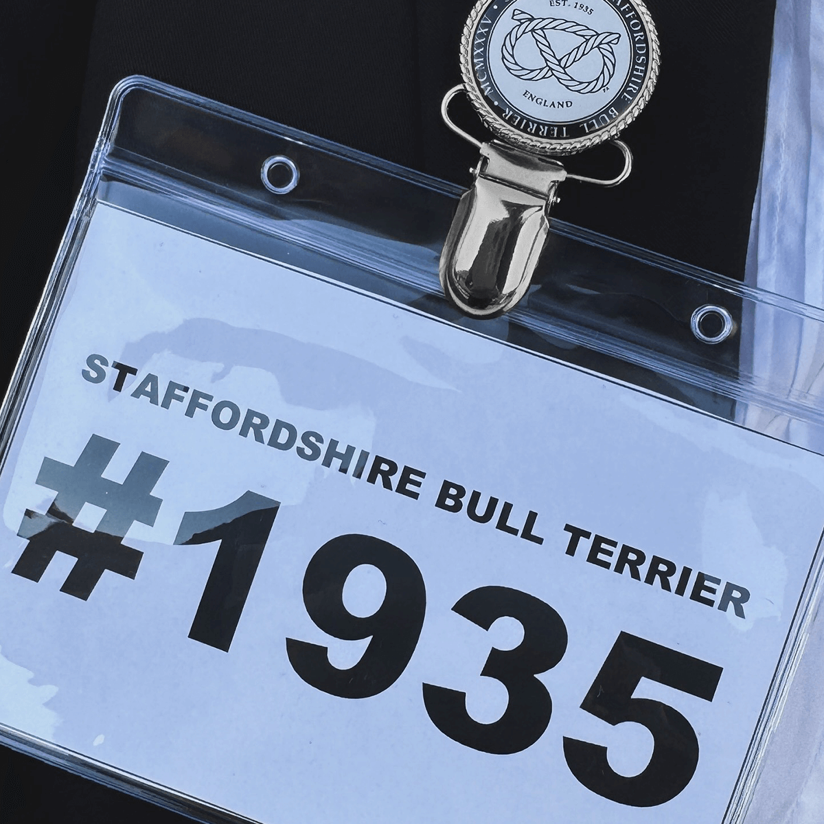 Staffordshire Bull Terrier 1935® Show Clip & Placeholder Silver with Placeholder