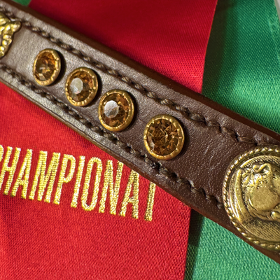 Staffordshire Bull Terrier 1935® Utställningshalsband & Koppel Set - Bärnsten - Brun & Guld