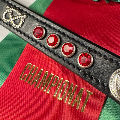 Staffordshire Bull Terrier 1935® Utställningshalsband & Koppel Set - Rubiner - Svart & Silver