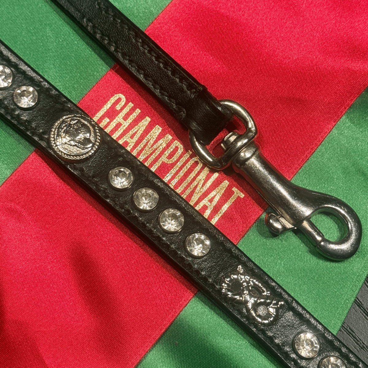 Staffordshire Bull Terrier 1935® Show Collar & Leash Set - Kåla's Black Diamond Edition - Black & Silver