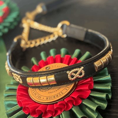 Staffordshire Bull Terrier 1935® Show Half Check Collar & Leash Set - Champion - Black & Gold