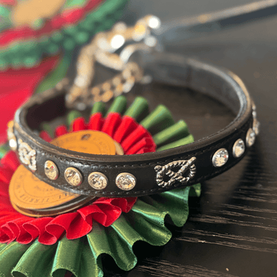 Staffordshire Bull Terrier 1935® Show Half Check Collar & Leash Set - Diamond - Black & Silver - Kåla’s Black Diamond Edition