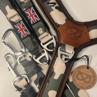 Staffordshire Bull Terrier 1935® Harness & Leash Set - Classic Camo & Choco
