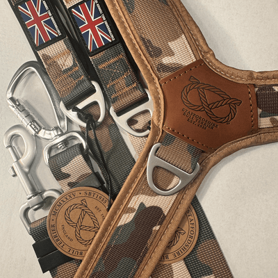 Staffordshire Bull Terrier 1935® Harnais et Laisse - Sable Camo