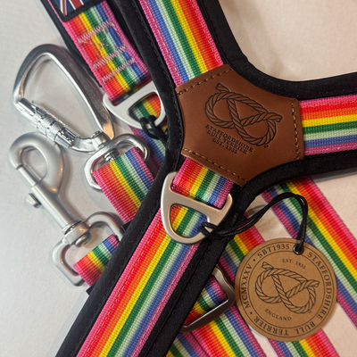 Staffordshire Bull Terrier 1935® Harness & Leash Set - Rainbow