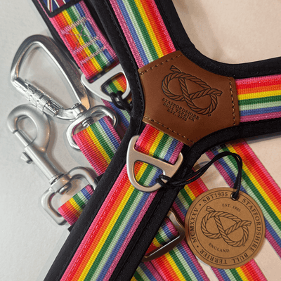 Staffordshire Bull Terrier 1935® Harness & Leash Set - Rainbow