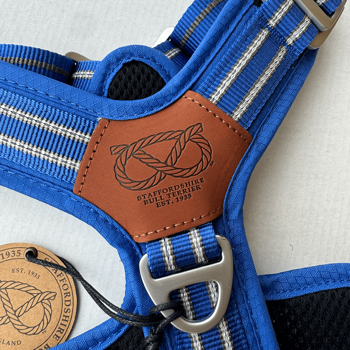 Staffordshire Bull Terrier 1935® Harness & Leash Set - Denzell Edition - Royal Blue