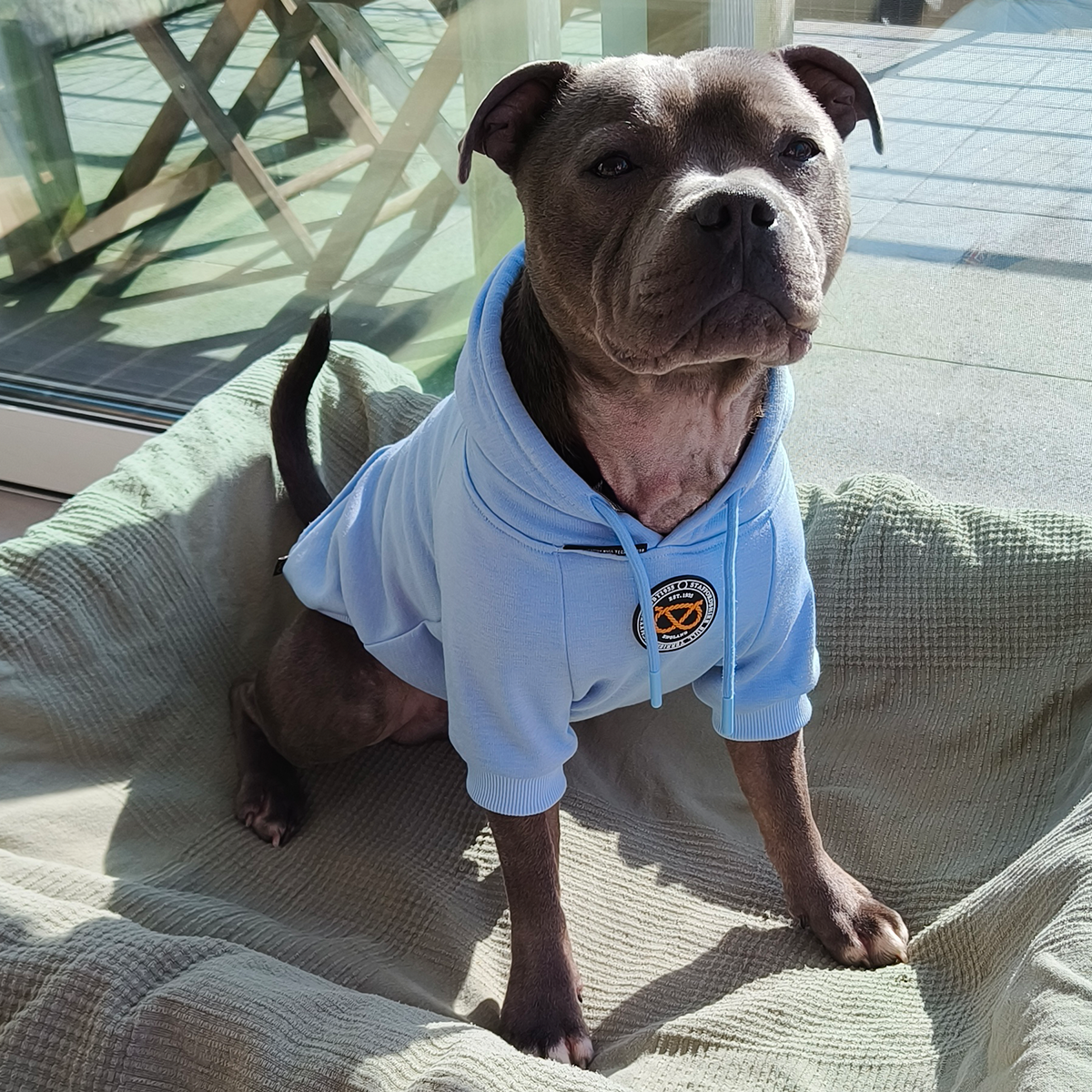 Staffordshire Bullterrier 1935® Hoodie - Babyblå