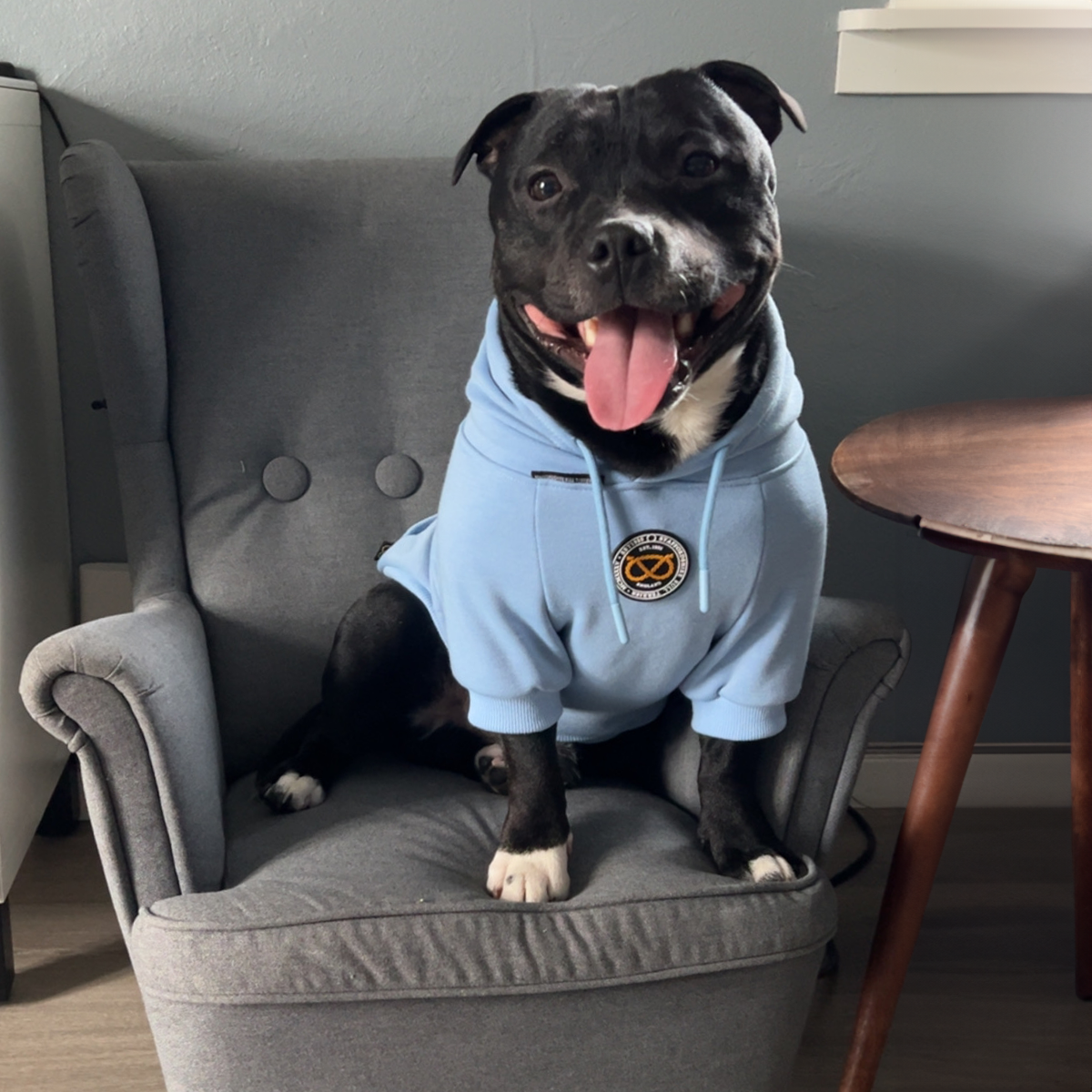 Staffordshire Bullterrier 1935® Hoodie - Babyblå