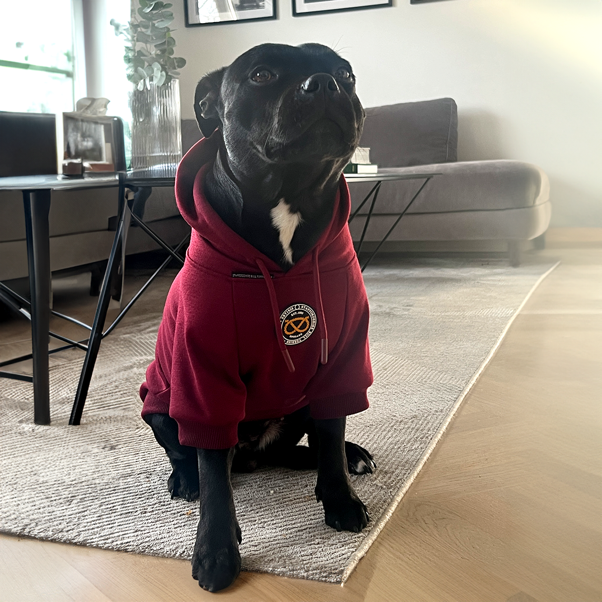 Staffordshire Bullterrier 1935® Hoodie - Vinröd