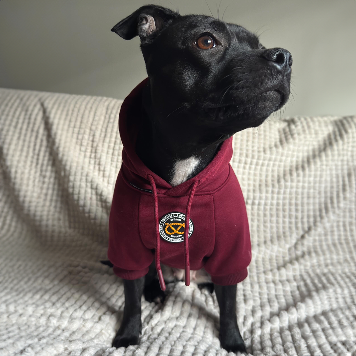 Staffordshire Bullterrier 1935® Hoodie - Vinröd