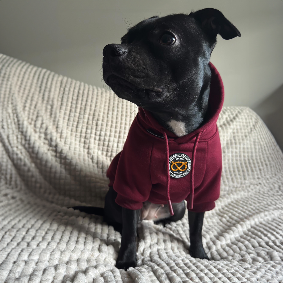 Staffordshire Bullterrier 1935® Hoodie - Vinröd