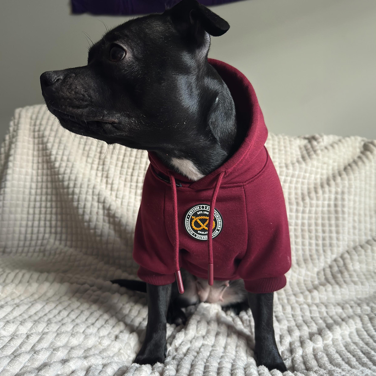 Staffordshire Bullterrier 1935® Hoodie - Vinröd