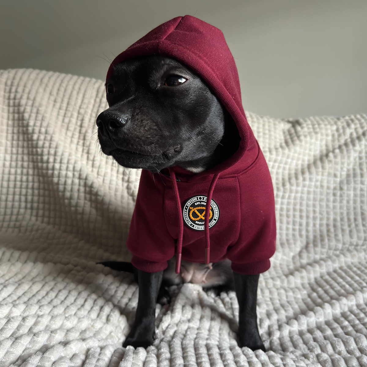 Staffordshire Bullterrier 1935® Hoodie - Vinröd