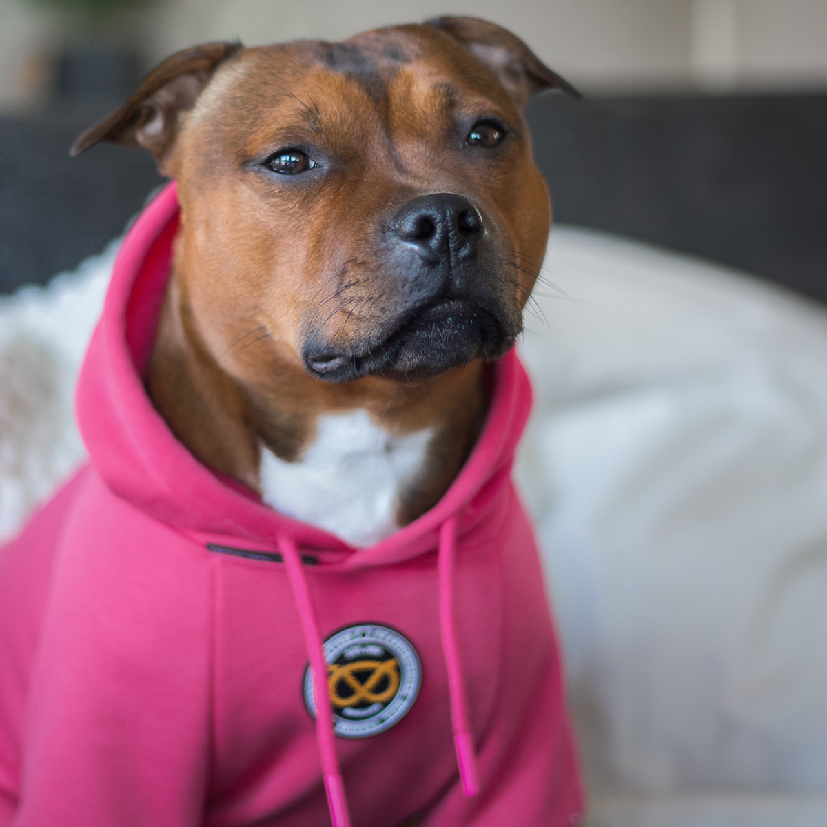 Staffordshire Bullterrier 1935® Hoodie - Rosa