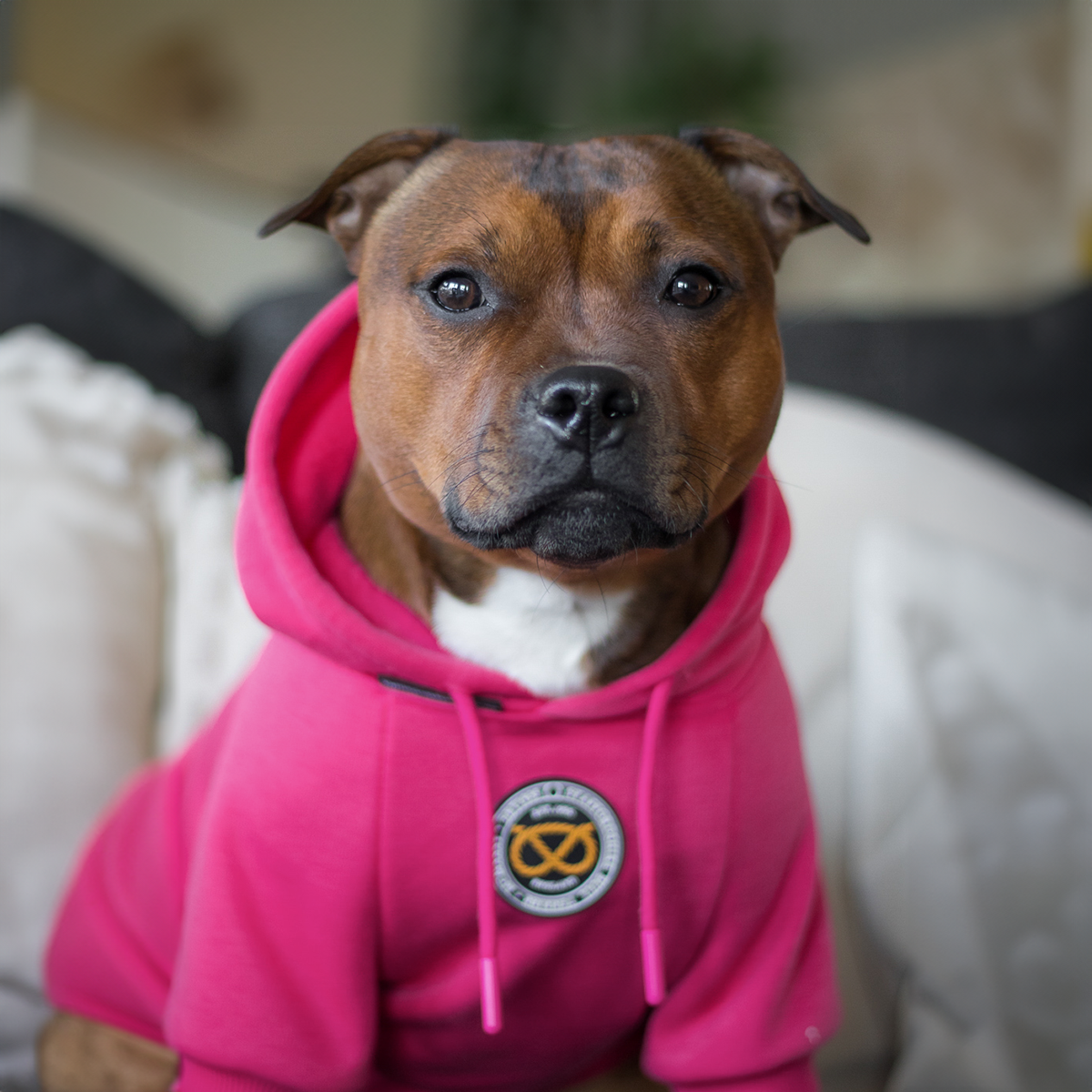 Staffordshire Bullterrier 1935® Hoodie - Rosa