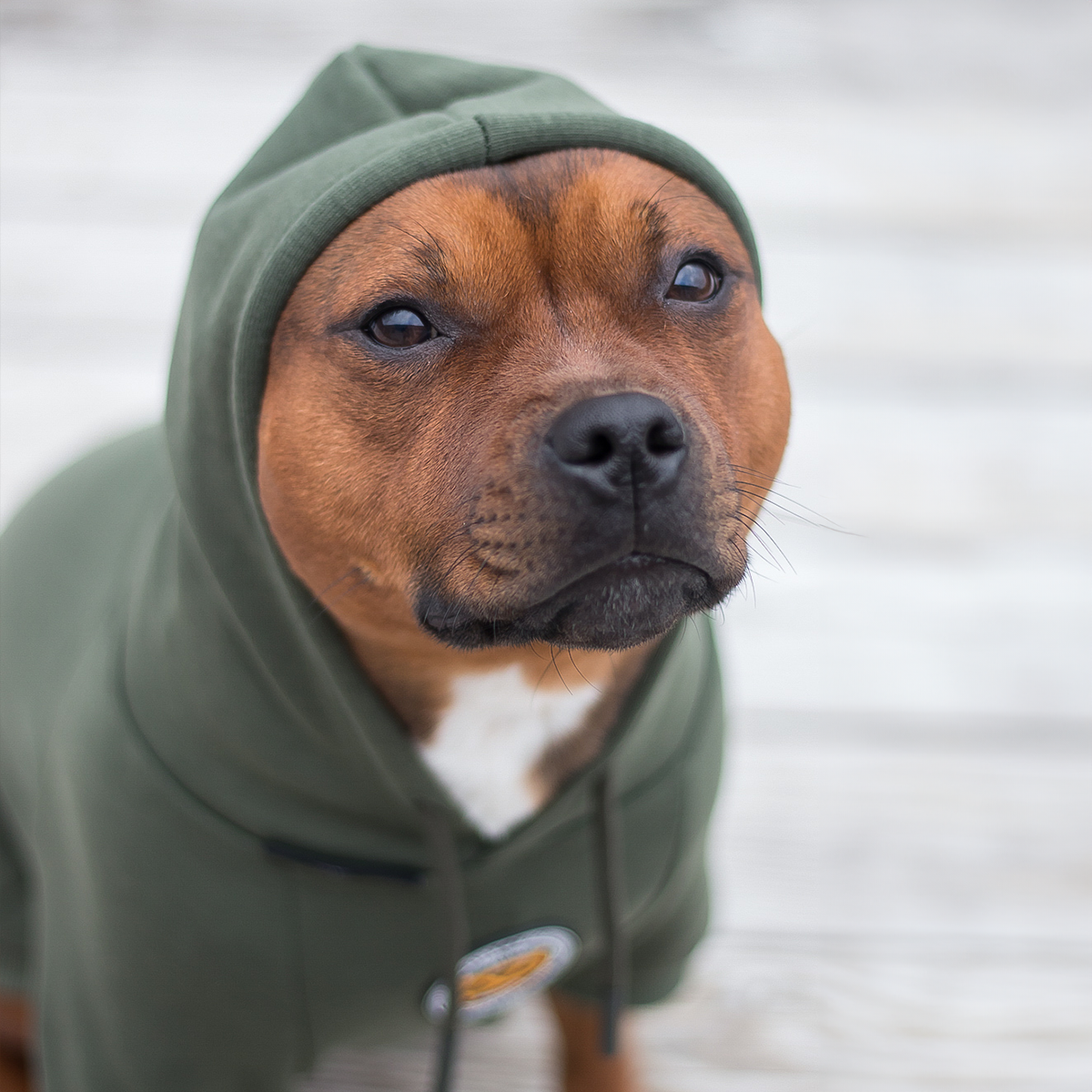 Staffordshire Bullterrier 1935® Hoodies - Grön