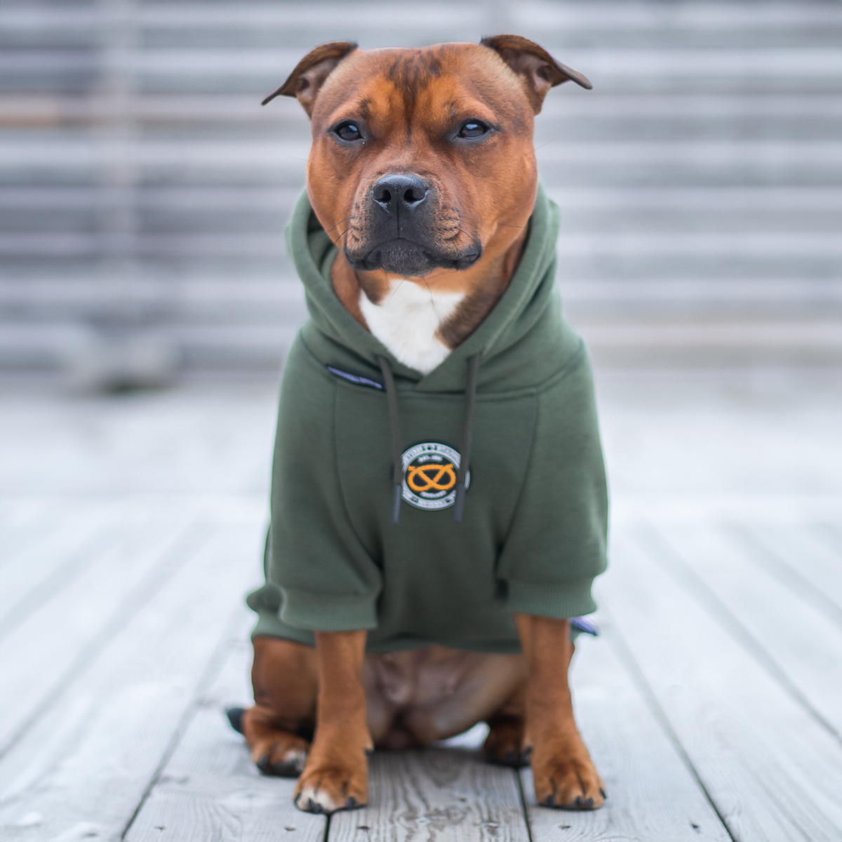 Staffordshire Bullterrier 1935® Hoodies - Grön