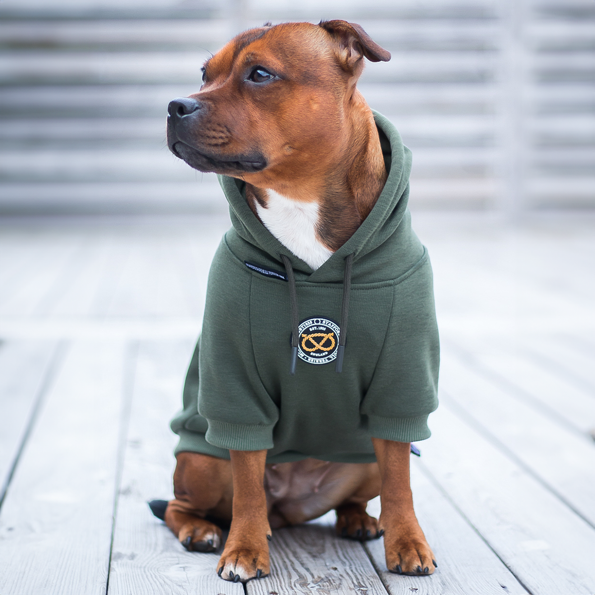 Staffordshire Bullterrier 1935® Hoodies - Grön