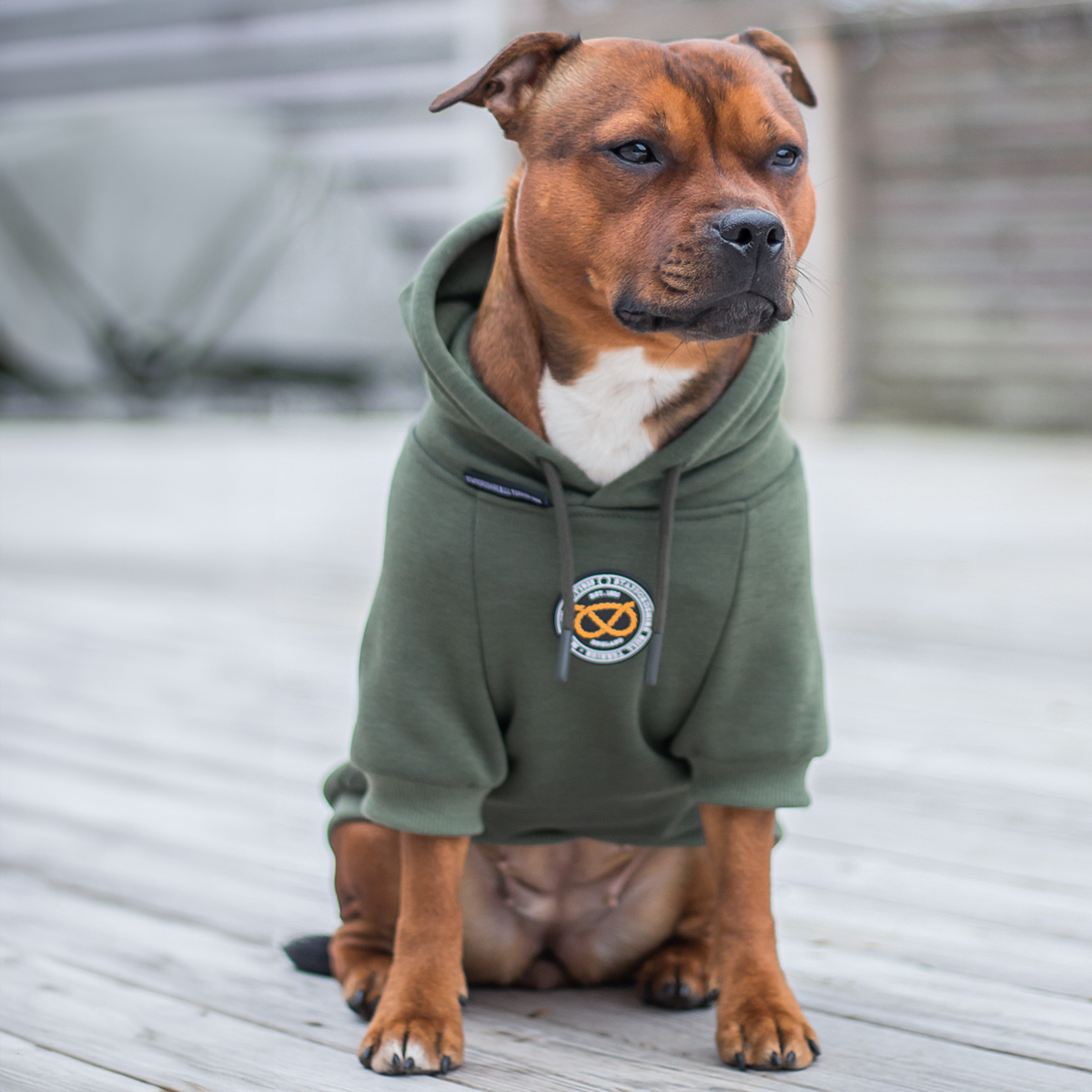 Staffordshire Bullterrier 1935® Hoodies - Grön